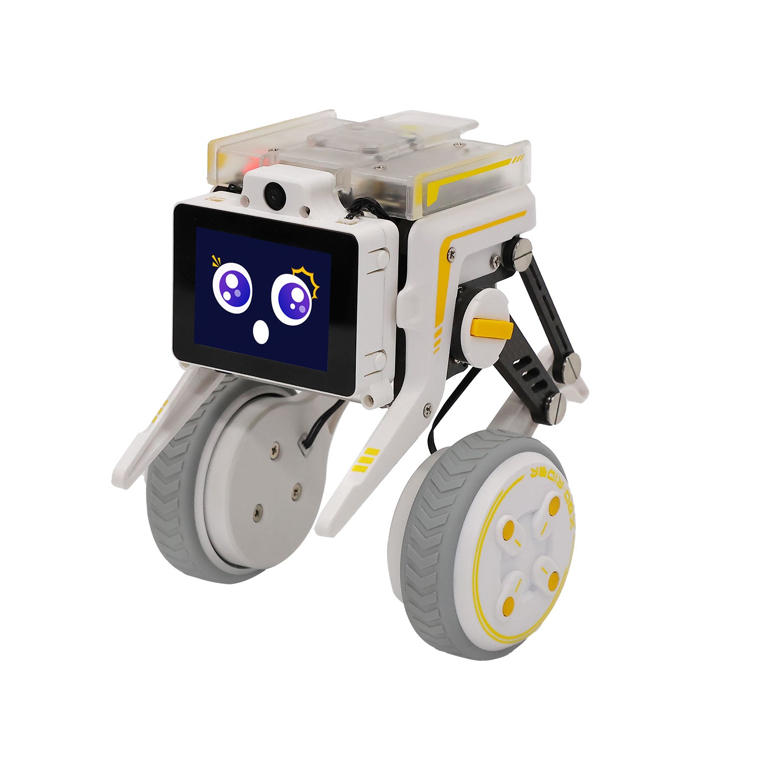 Rider-Pi Two Wheel-legged Robot